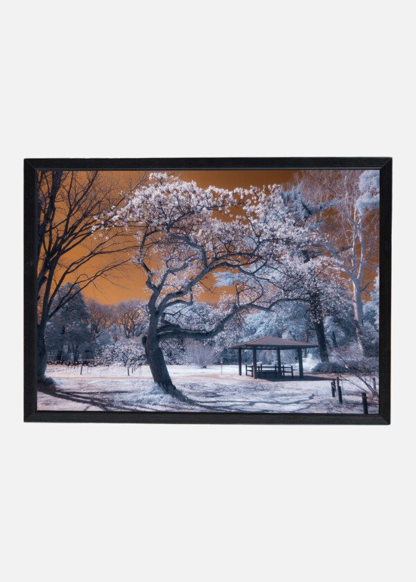 SNOW-COVERED PARK