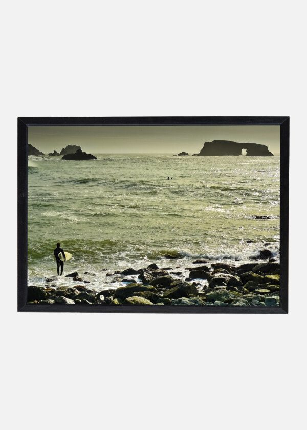 SURFER