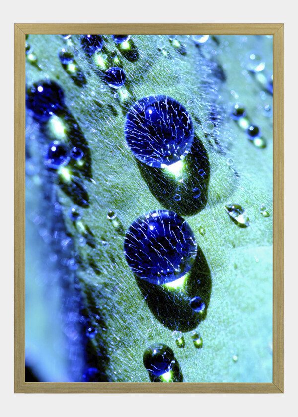 DROPS UNDER A MICROSCOPE