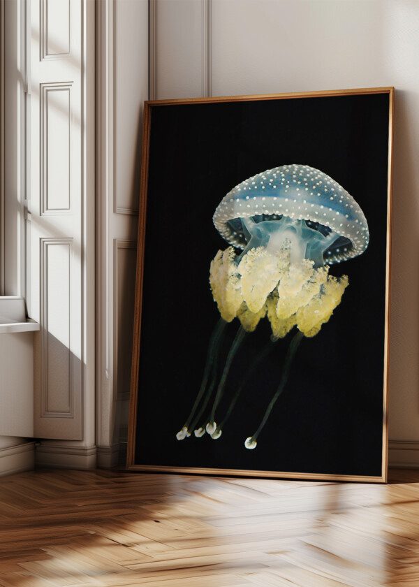 JELLYFISH