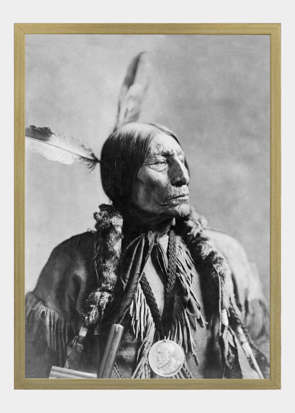 CHIEF WOLF ROBE, 1904