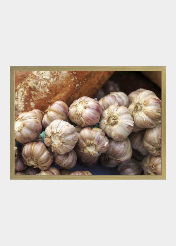 GARLIC