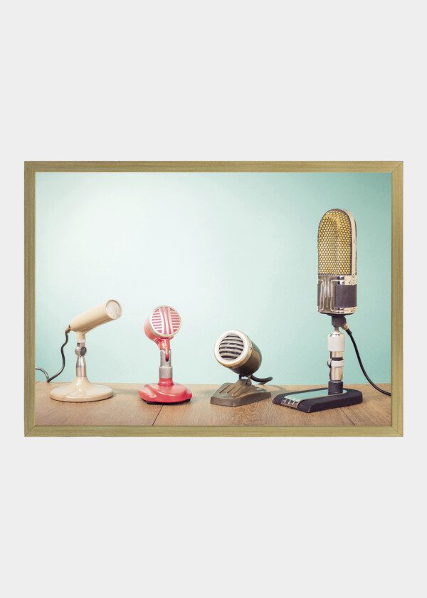 MICROPHONES