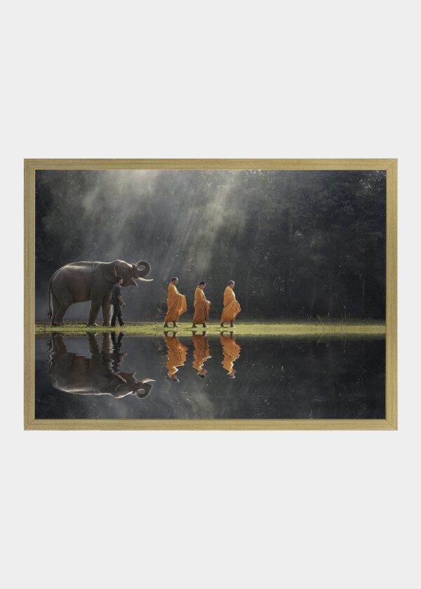 ELEPHANT AND INDIAN MONKS