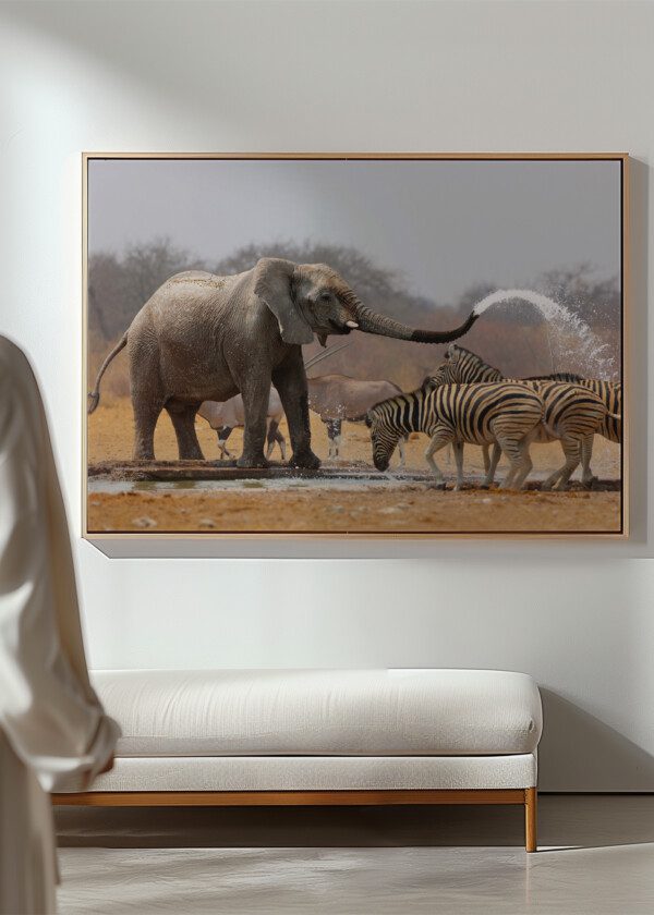 ELEPHANT AND ZEBRAS