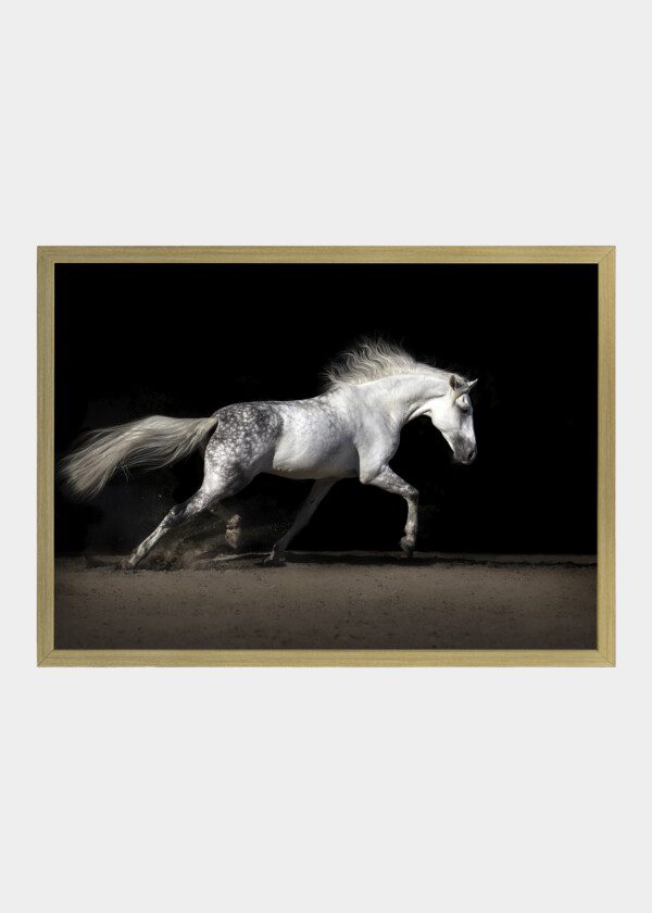 WHITE HORSE