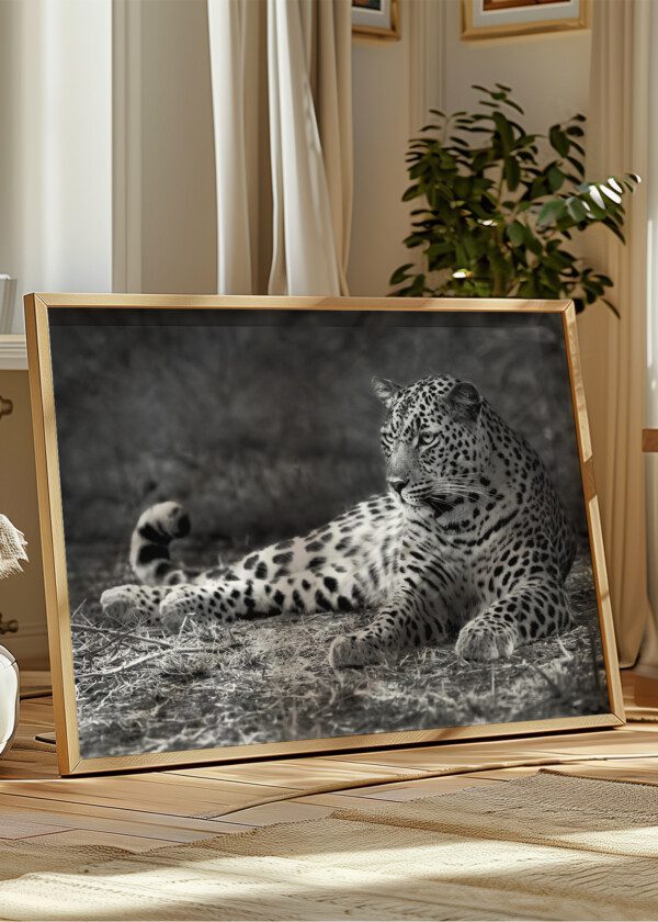 LEOPARD