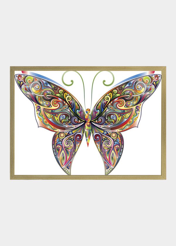 ILLUSTRATION BUTTERFLY