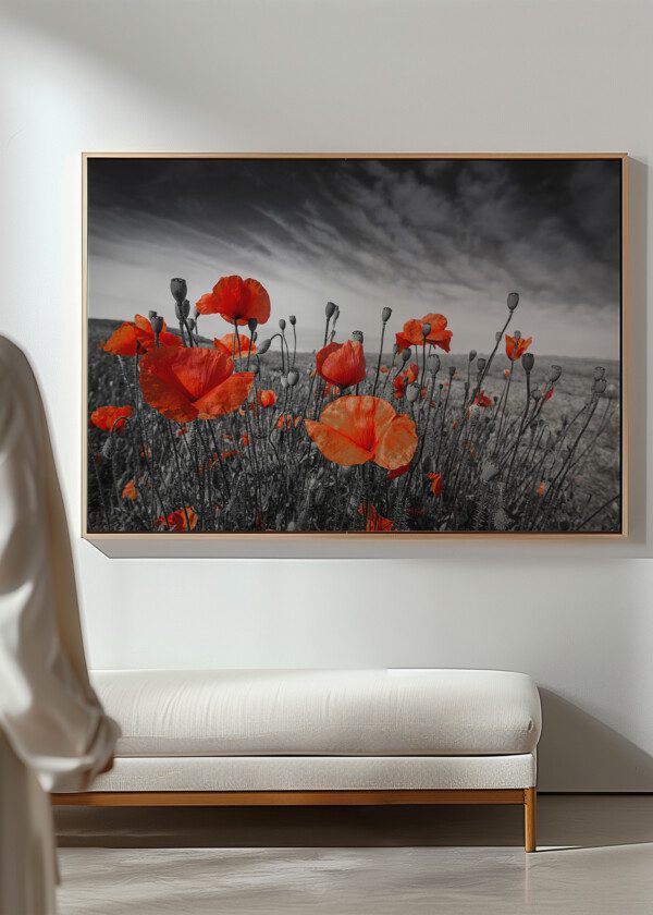 POPPY AGAINST BLACK AND WHITE BACKGROUND