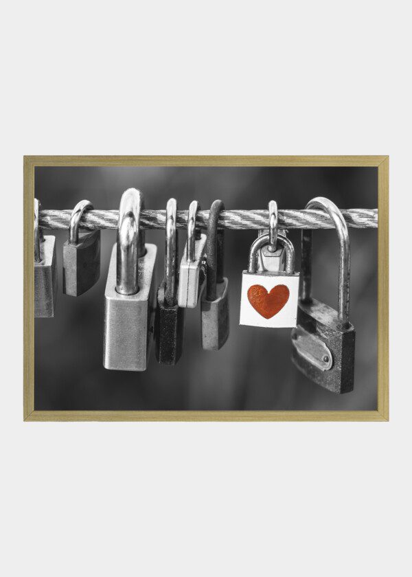 PADLOCKS