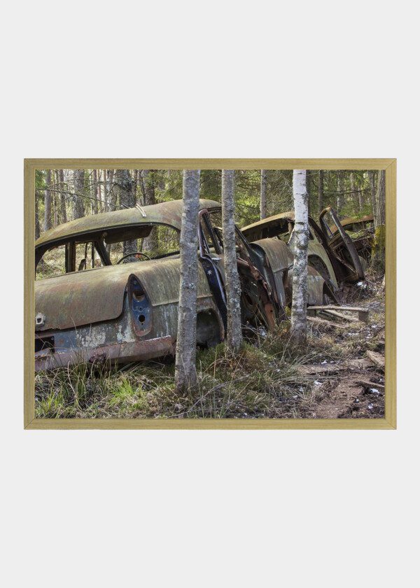 RUSTY CAR WRECKS