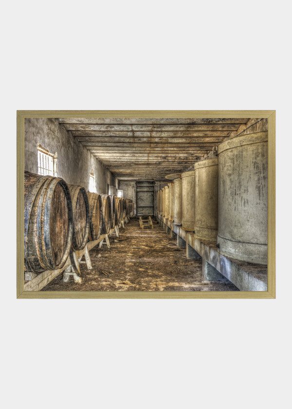 WINE BARRELS AS WELL AS TUBS IN AN ABANDONED WINE CELLAR