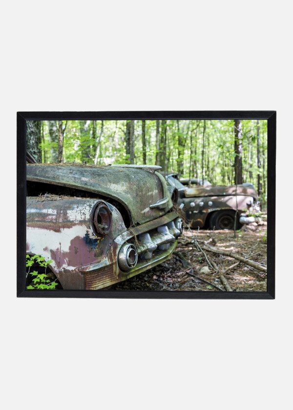 SCRAP TRUCKS IN THE FOREST