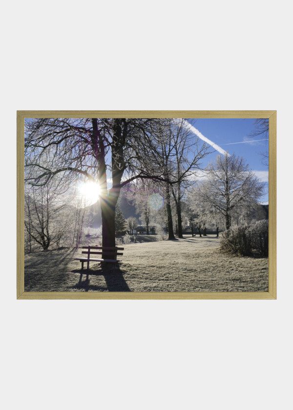 PARK IN WINTER
