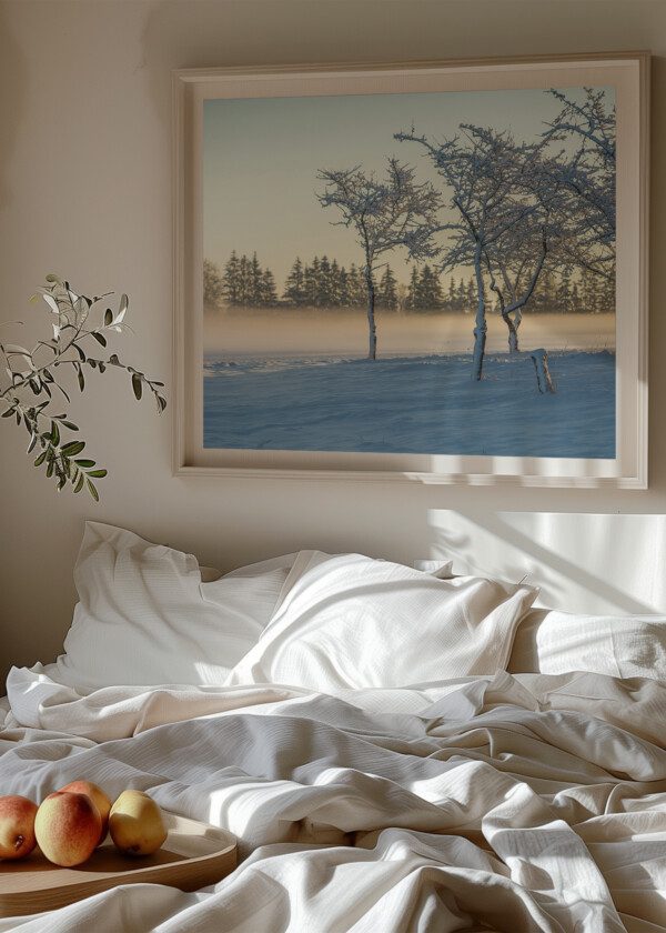 SNOWY TREES