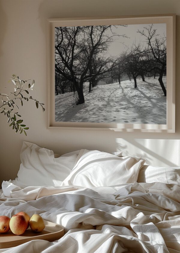 WINTER IN THE ORCHARD
