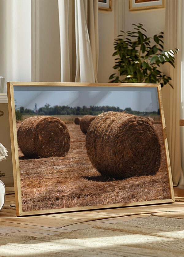 STRAW BALES
