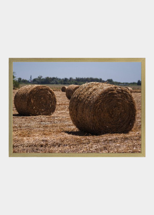 STRAW BALES