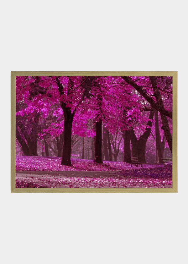 RED TREES