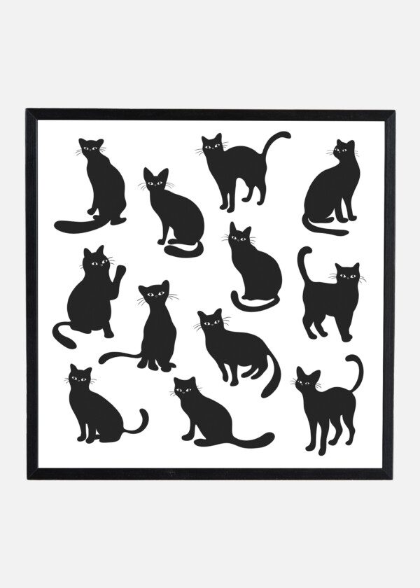 ILLUSTRATION. BLACK CATS