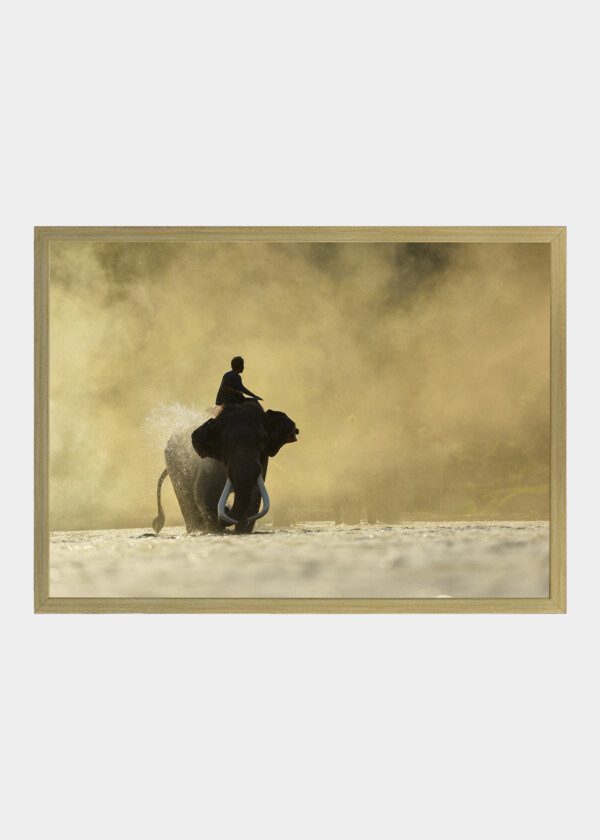 MAN RIDING AN ELEPHANT