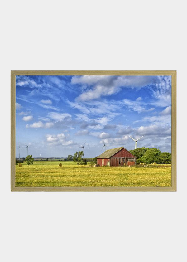 SUMMER IN SWEDEN