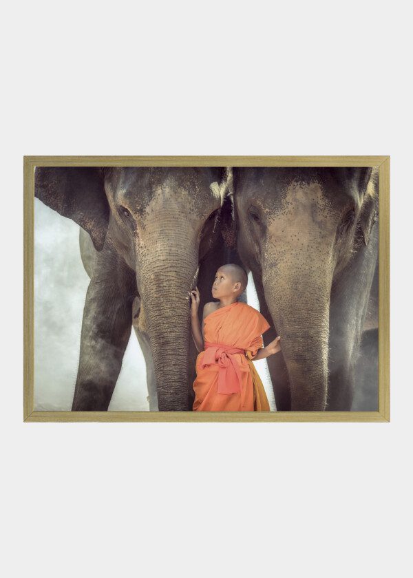 BUDDHIST BOY AND ELEPHANTS