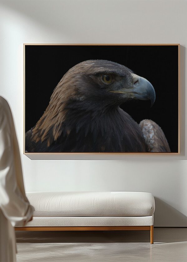 EAGLE'S HEAD