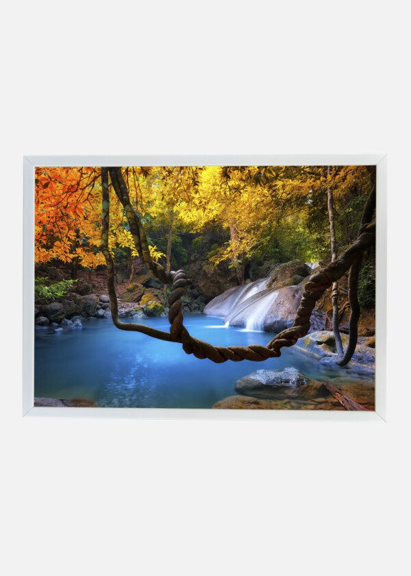 WATERFALL IN THE FOREST