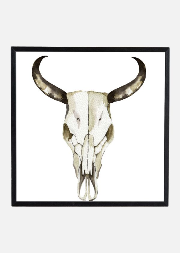 BUFFALO SKULL