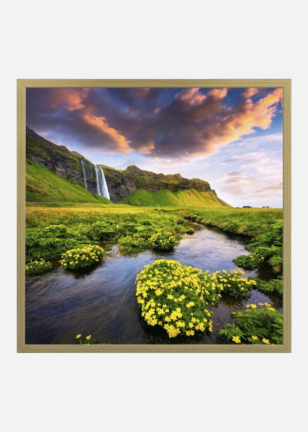 WATERFALLS AND YELLOW FLOWERS