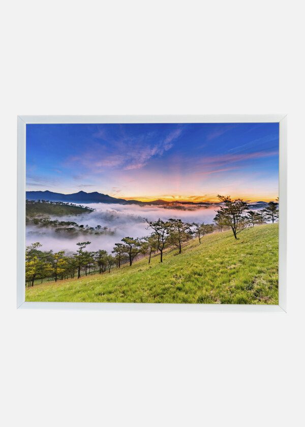 FOGGY VALLEY