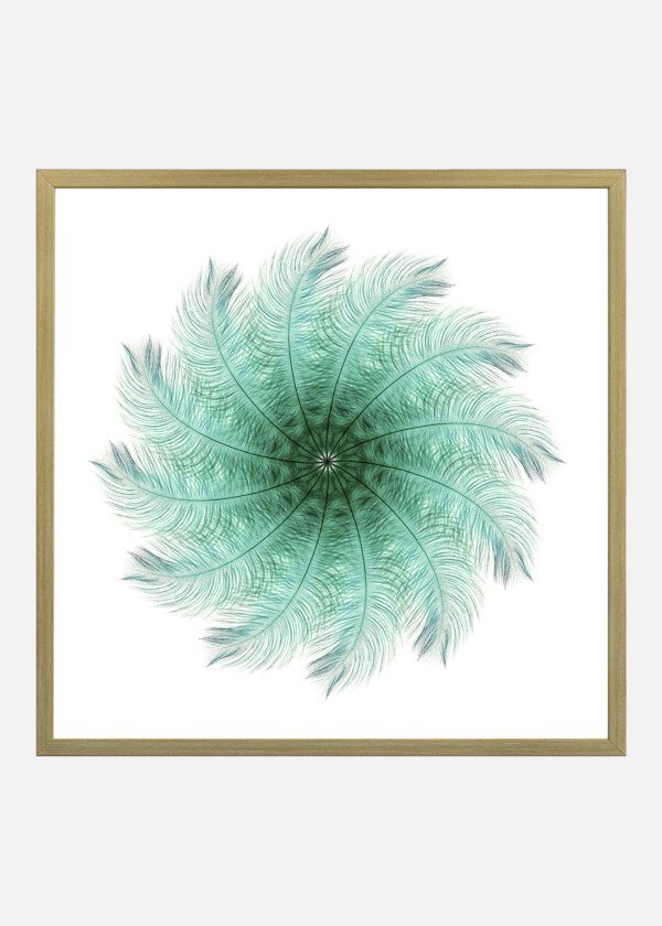 TURQUOISE FEATHERS