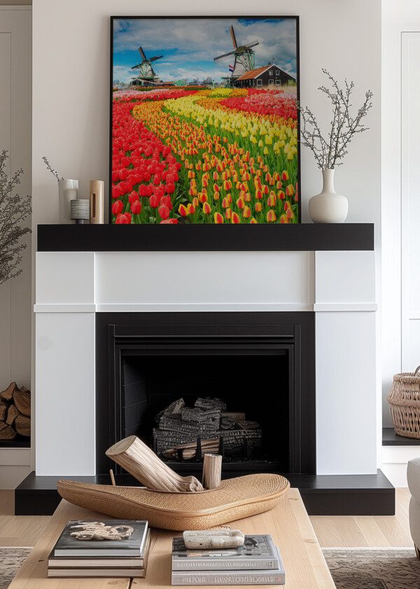 HOLLAND. TULIPS AND WINDMILLS