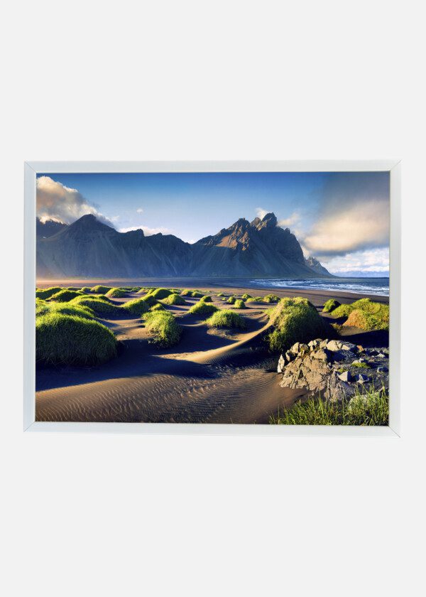 SANDY BEACH WITH GREEN BUSHES