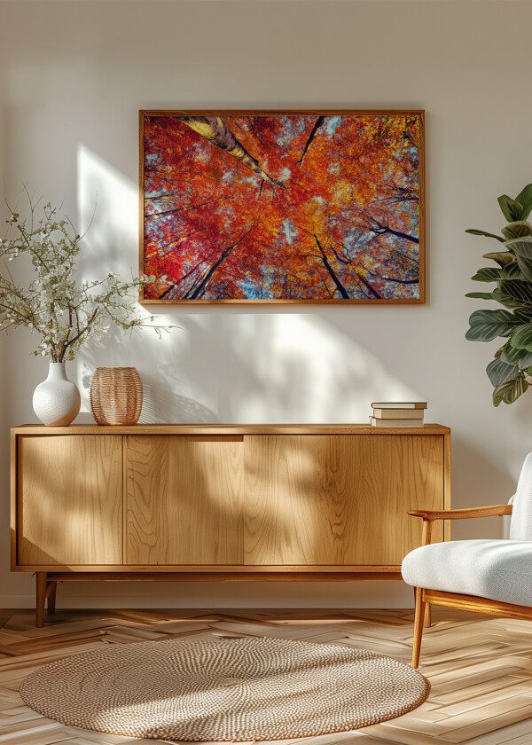 TREES IN AUTUMN COLORS