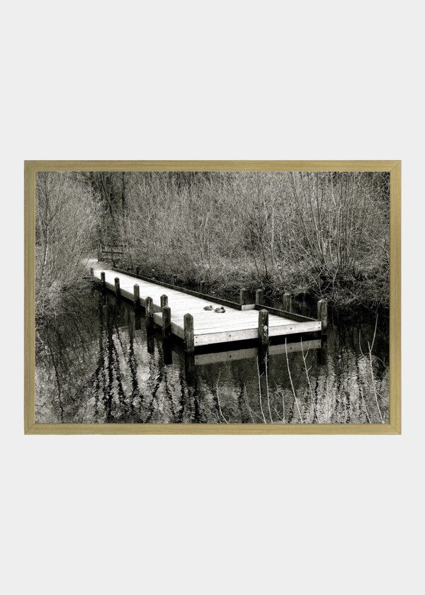 TWO DUCKS ON A BRIDGE. BLACK AND WHITE