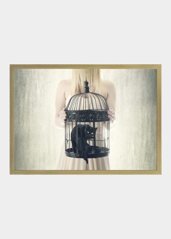 CAT IN BIRD CAGE