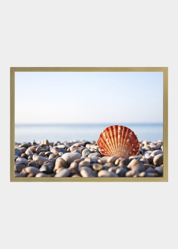 ROCK BEACH