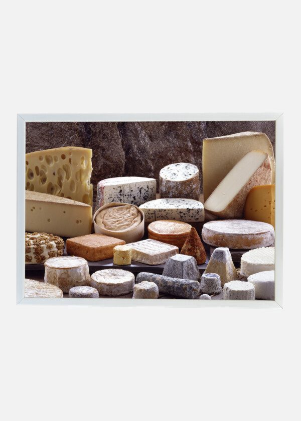 DIFFERENT CHEESES
