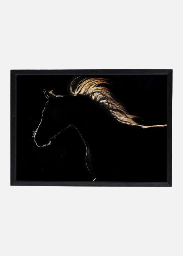 HORSE IN BACKLIGHT
