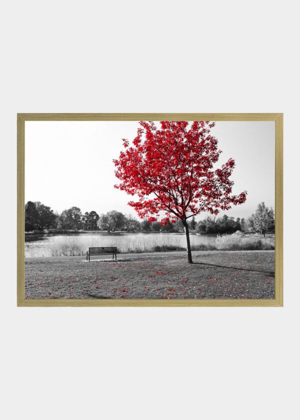 RED LEAF`S