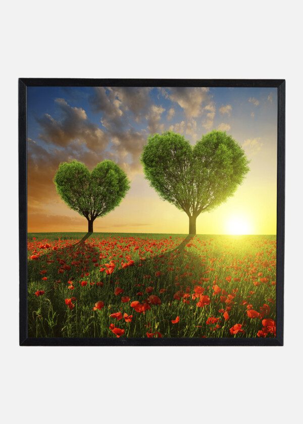 SWEETHEART TREE