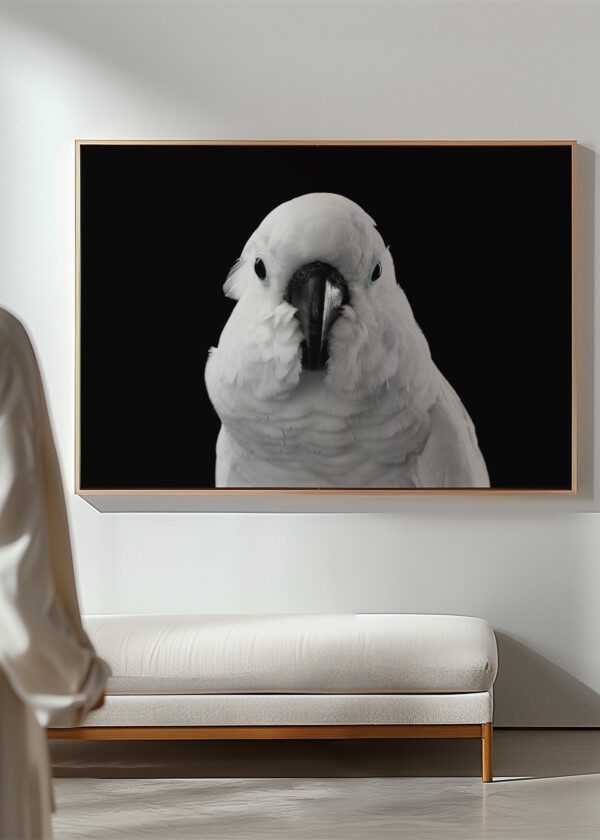 COCKATOO