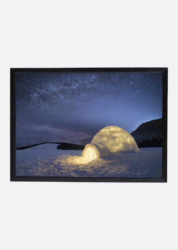 IGLOO UNDER THE STARRY SKY