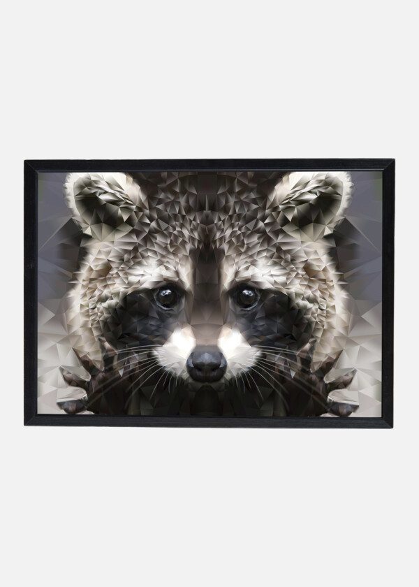 ILLUSTRATION. RACCOON