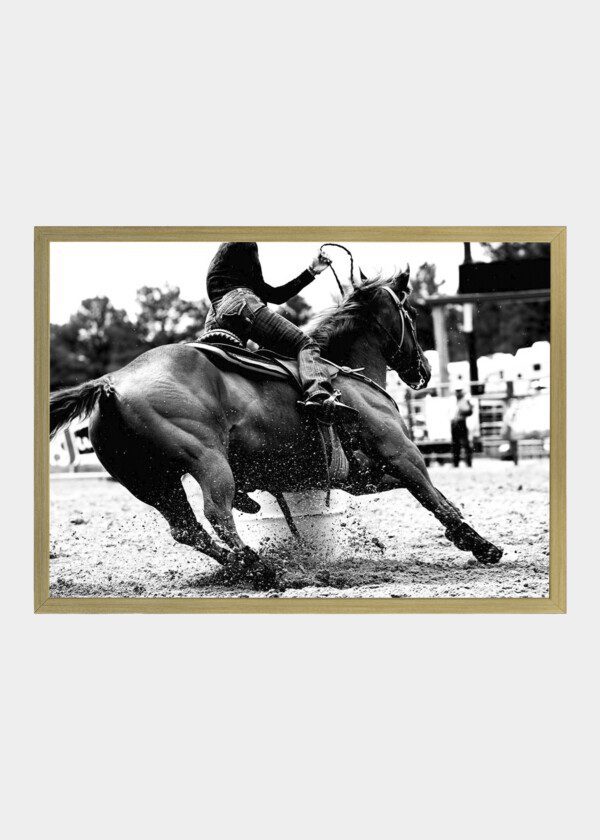 RODEO RIDERS
