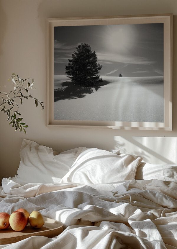 SNOW-COVERED EXPANSES