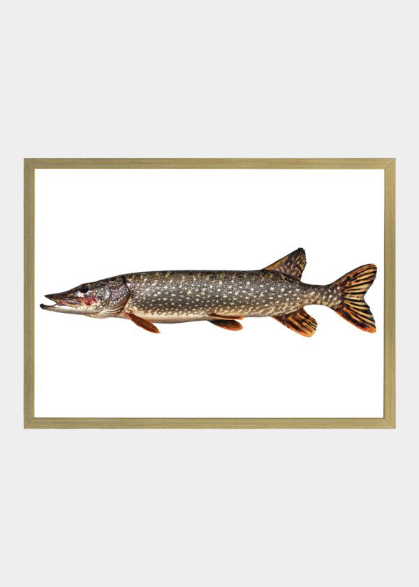 PIKE