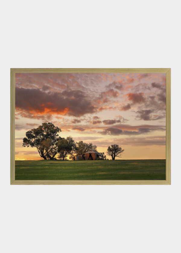 HOUSE IN GROVE OF TREES